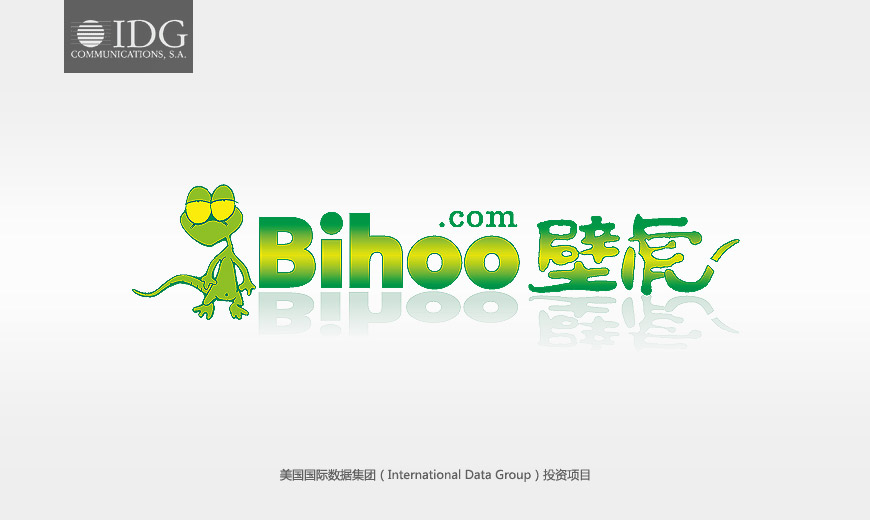 VI形象设计基础部分-电子商务壁虎中国品牌LOGO设计