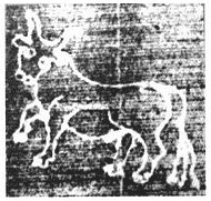 1282年意大利人水印图形符号